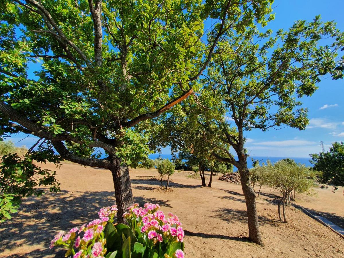 Agriturismo Le Terre Di Venere Acciaroli Exterior photo