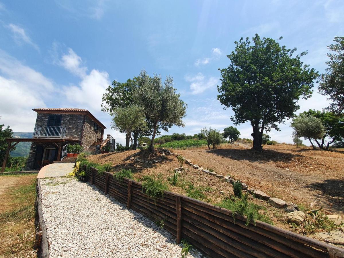 Agriturismo Le Terre Di Venere Acciaroli Exterior photo